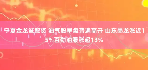 宁夏金龙诚配资 油气股早盘普遍高开 山东墨龙涨近15%百勤油服涨超13%